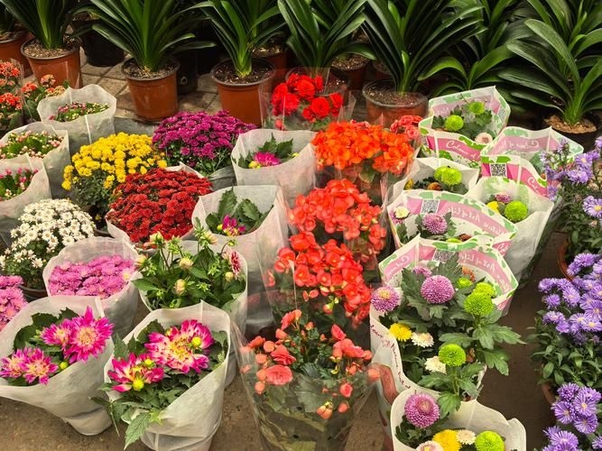 昆明觀賞魚批發(fā)市場 行業(yè)新聞 第11張 昆明觀賞魚批發(fā)市場 行業(yè)新聞 第11張