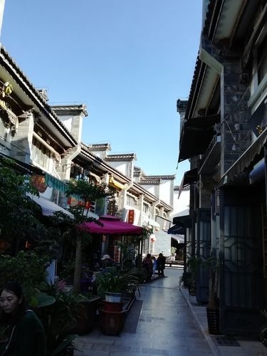 昆明觀賞魚批發(fā)市場 行業(yè)新聞 第15張 昆明觀賞魚批發(fā)市場 行業(yè)新聞 第15張