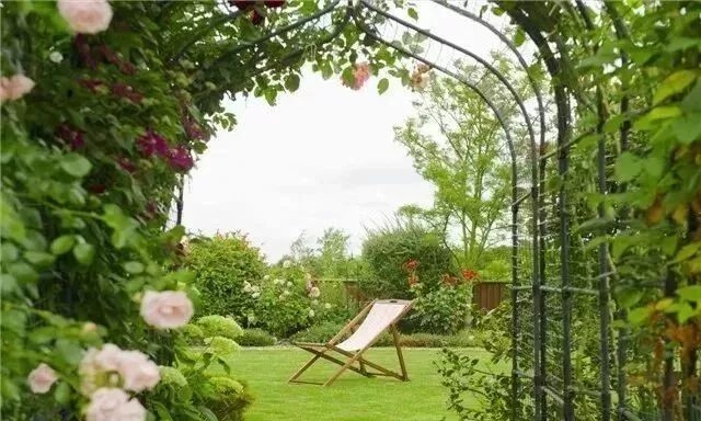 如何選擇適合別墅花園的植物？ 行業(yè)新聞 第1張