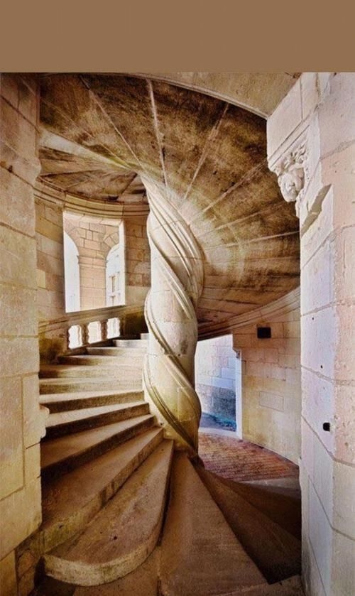 有沒有更多螺旋樓梯的變形圖？（螺旋樓梯變形圖應(yīng)該能給你靈感,這些螺旋樓梯變形圖應(yīng)該能給你靈感） 行業(yè)新聞 第1張