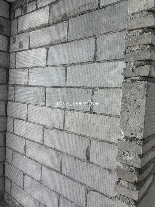 有沒有砌體墻鋼筋網(wǎng)片的圖片（有沒有砌體墻鋼筋網(wǎng)片的圖片,砌體墻鋼筋網(wǎng)片的施工規(guī)范要點(diǎn)清單） 行業(yè)新聞 第3張