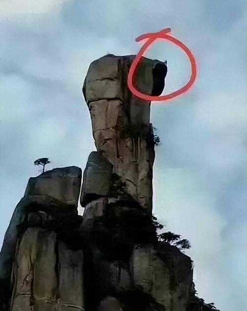 這些案例中哪個(gè)最有影響力？（“巨蟒峰案”最具影響力） 行業(yè)新聞 第2張