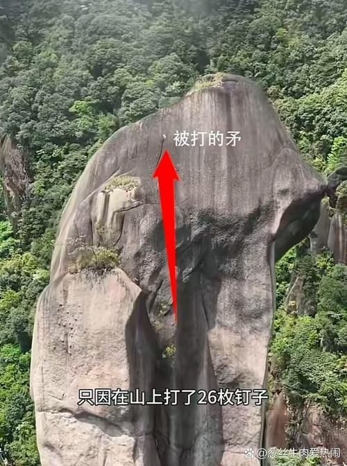 這些案例中哪個(gè)最有影響力？（“巨蟒峰案”最具影響力） 行業(yè)新聞 第5張