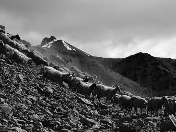 如何配置檔案室用房的防火門？（da/t106—t106—t106—2025防火門配置指南） 行業(yè)新聞 第1張