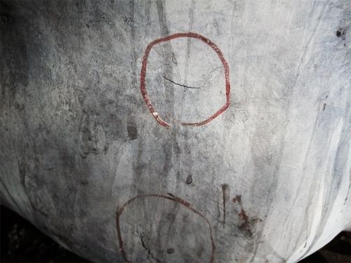 如何判斷電梯鋼結(jié)構(gòu)材料的質(zhì)量？ 行業(yè)新聞 第6張