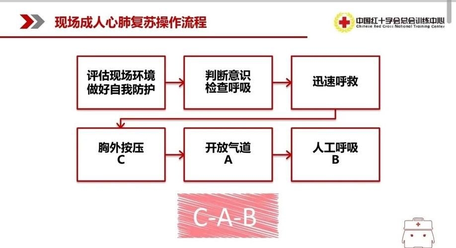 哪種方法適合緊急情況（醫(yī)療急救（cpr/aed/aed）） 行業(yè)新聞 第2張