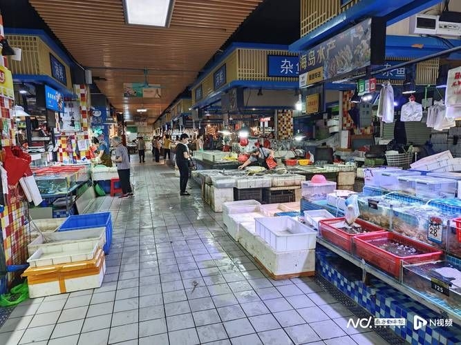 江門水族批發(fā)市場（江門水族批發(fā)市場1.龍魚批發(fā)|觀賞魚批發(fā)視頻網(wǎng)） 行業(yè)新聞 第1張