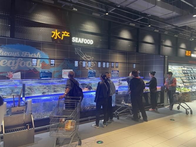 江門水族批發(fā)市場（江門水族批發(fā)市場1.龍魚批發(fā)|觀賞魚批發(fā)視頻網(wǎng)） 行業(yè)新聞 第4張