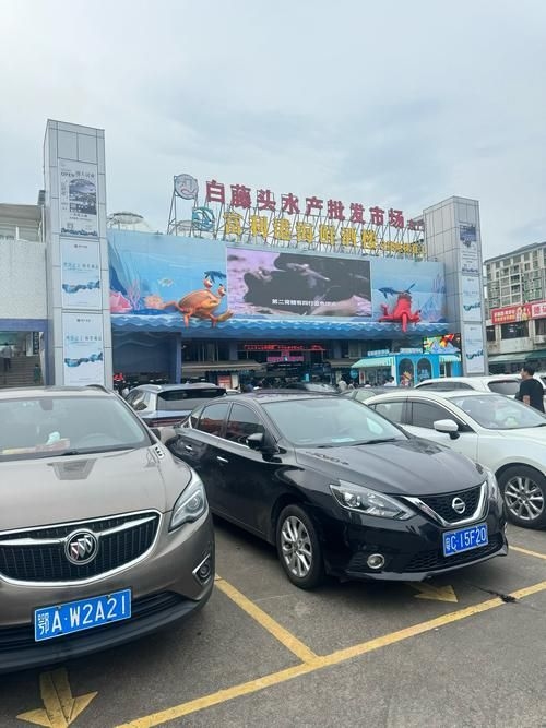 江門水族批發(fā)市場（江門水族批發(fā)市場1.龍魚批發(fā)|觀賞魚批發(fā)視頻網(wǎng)） 行業(yè)新聞 第5張