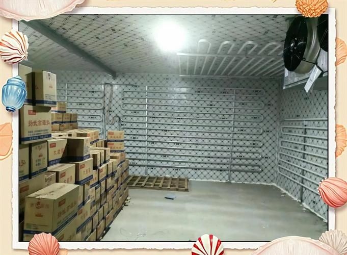 有沒有冷庫建筑設計的案例參考（冷庫建筑設計案例） 行業(yè)新聞 第6張