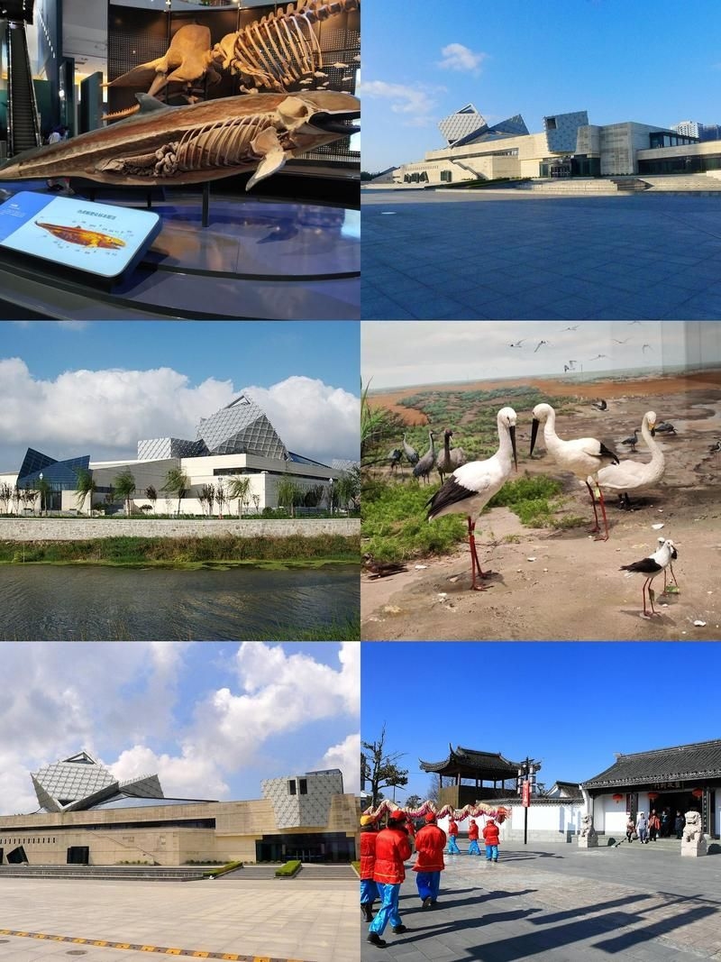 有沒(méi)有更多建筑改造加固的案例？（三里河一區(qū)28號(hào)樓、雙柳巷小區(qū)28號(hào)樓原拆原建、鹽城黃海濕地博物館） 行業(yè)新聞 第9張