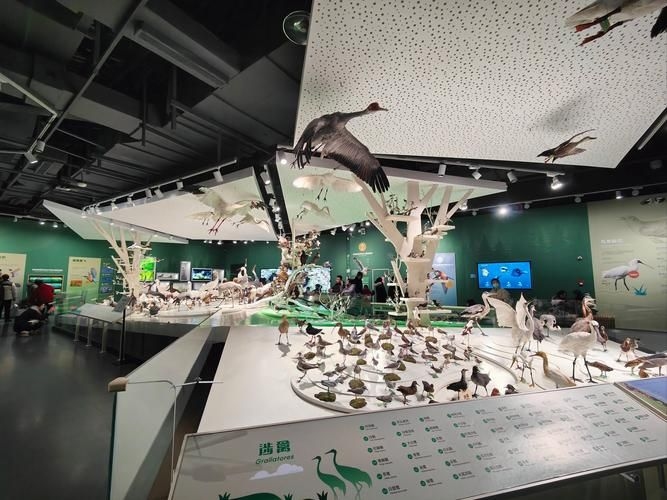 有沒(méi)有更多建筑改造加固的案例？（三里河一區(qū)28號(hào)樓、雙柳巷小區(qū)28號(hào)樓原拆原建、鹽城黃海濕地博物館） 行業(yè)新聞 第11張