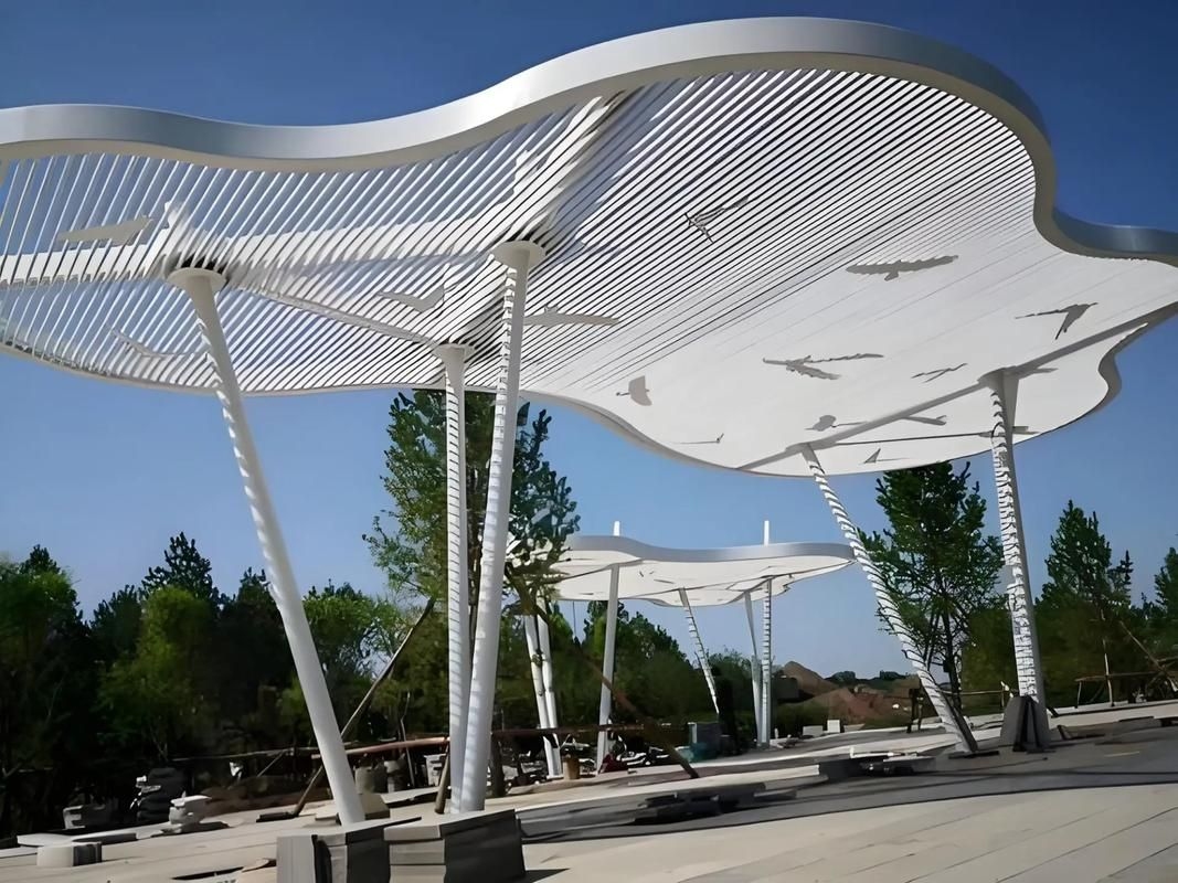 哪里可以找到高清的異形鋼結(jié)構(gòu)圖片？ 行業(yè)新聞 第3張