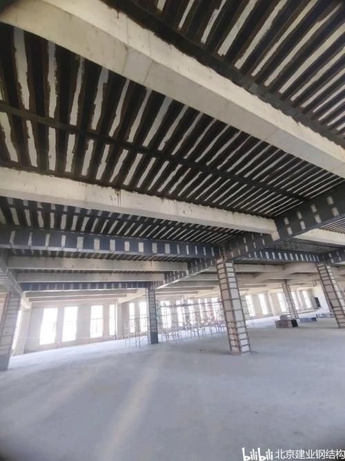 有沒有更詳細(xì)的加固圖片？（建筑結(jié)構(gòu)加固圖片） 行業(yè)新聞 第23張