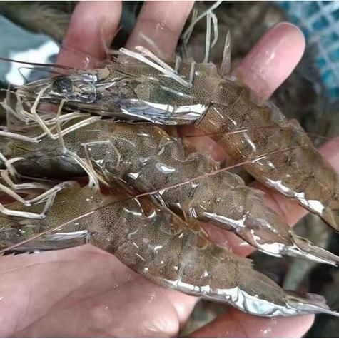 如何判斷注膠是否飽滿？（如何判斷注膠是否飽滿） 行業(yè)新聞 第12張