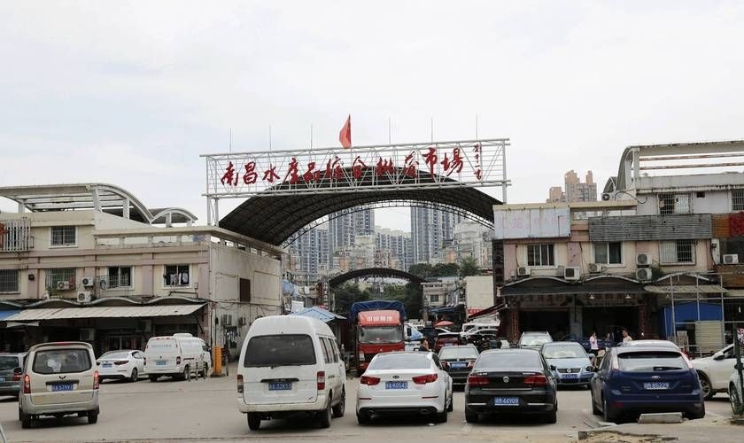 南昌水族批發(fā)市場（南昌水族批發(fā)市場\