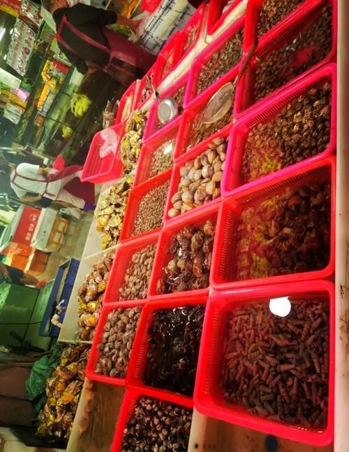 南昌水族批發(fā)市場（南昌水族批發(fā)市場\