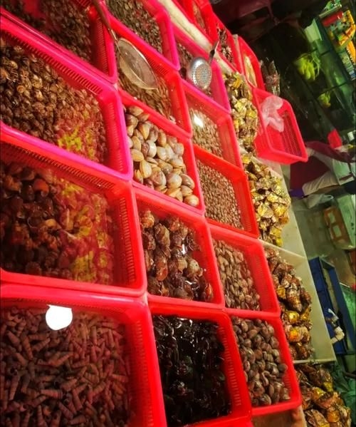 南昌水族批發(fā)市場（南昌水族批發(fā)市場\