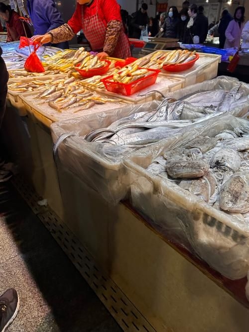 南昌水族批發(fā)市場（南昌水族批發(fā)市場\