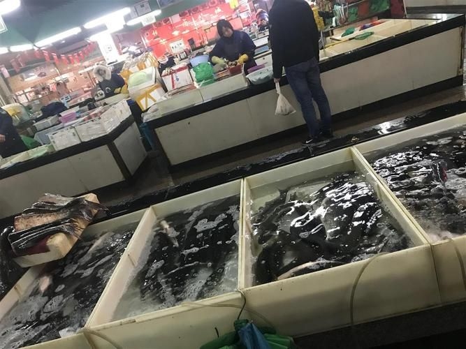 南昌水族批發(fā)市場（南昌水族批發(fā)市場\