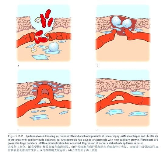 哪種補(bǔ)救方法副作用最??？ 行業(yè)新聞 第1張