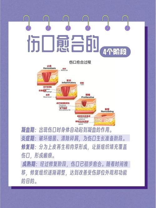 哪種補(bǔ)救方法副作用最小？ 行業(yè)新聞 第5張