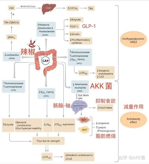 哪種補(bǔ)救方法副作用最?。?行業(yè)新聞 第7張