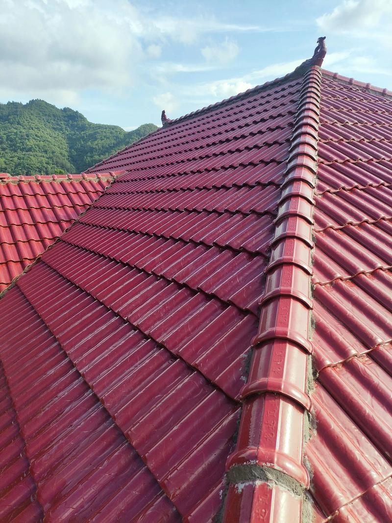 給我一些屋面加高的效果圖（如何制作屋面加高的效果圖） 行業(yè)新聞 第15張