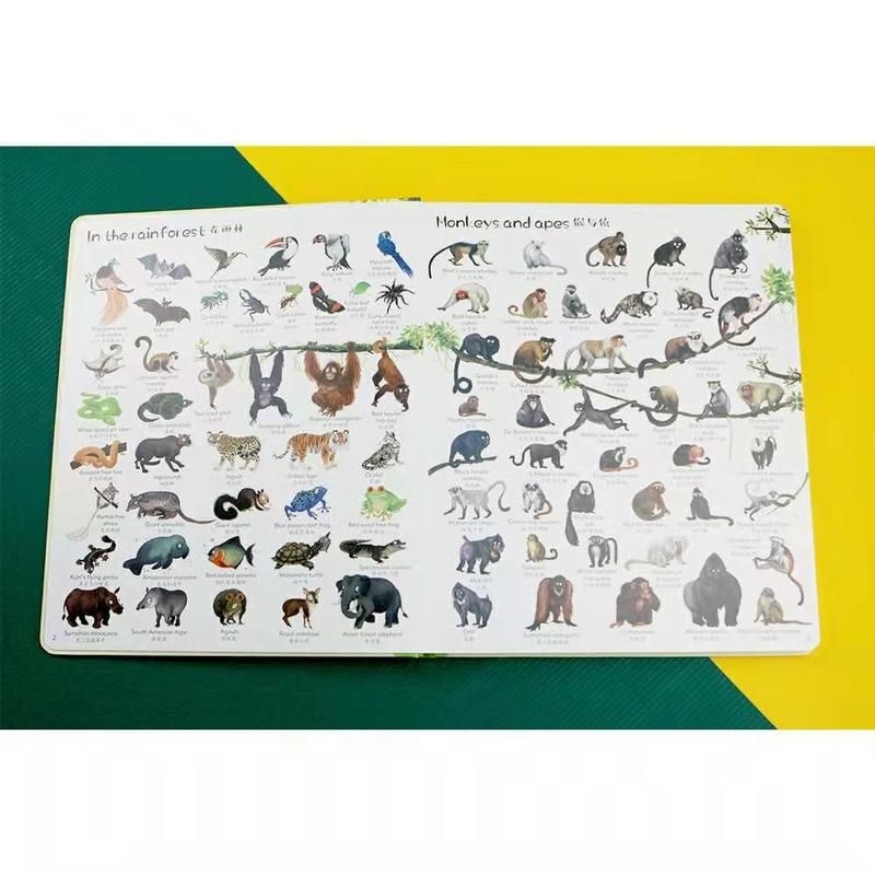 這本書有哪些特點？ 行業(yè)新聞 第3張