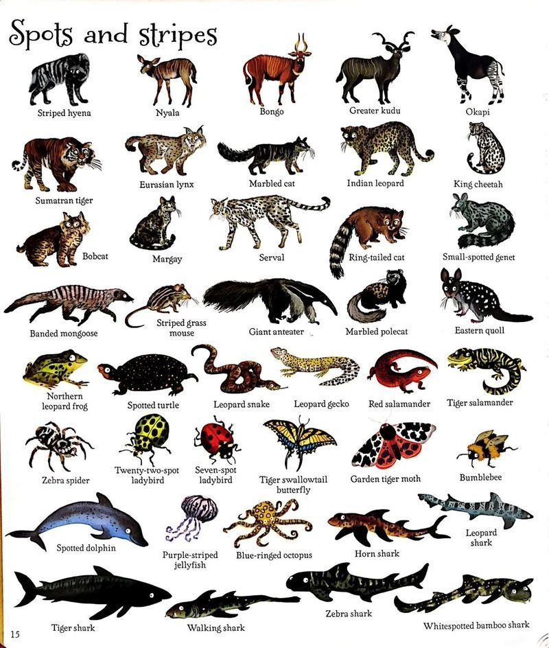 這本書有哪些特點？ 行業(yè)新聞 第5張