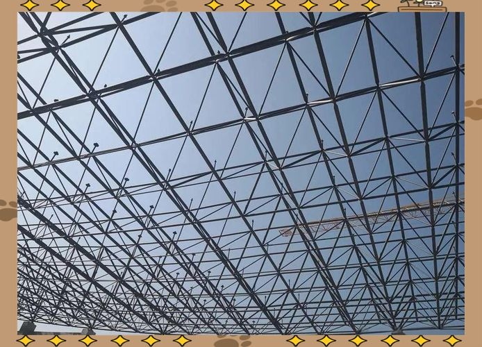 有哪些高質(zhì)量的網(wǎng)架結(jié)構(gòu)圖片？（如何找到高質(zhì)量的網(wǎng)架結(jié)構(gòu)圖片？） 行業(yè)新聞 第12張