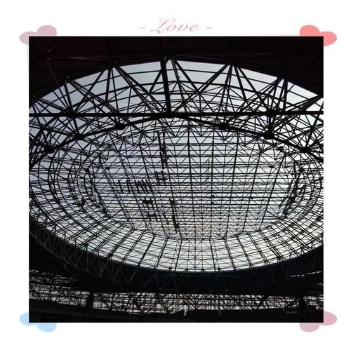 有哪些高質(zhì)量的網(wǎng)架結(jié)構(gòu)圖片？（如何找到高質(zhì)量的網(wǎng)架結(jié)構(gòu)圖片？） 行業(yè)新聞 第23張