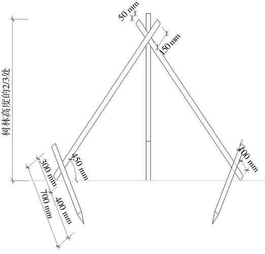如何安裝樹木支撐桿？（如何安裝樹木支撐桿，用戶要求1000字詳解+配圖） 行業(yè)新聞 第1張