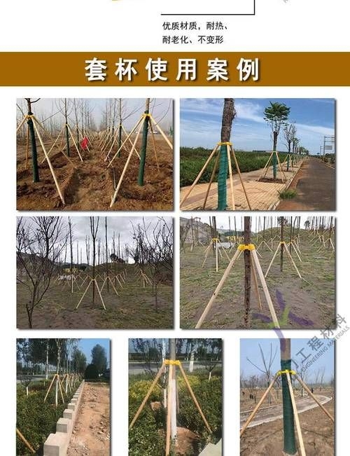 如何安裝樹木支撐桿？（如何安裝樹木支撐桿，用戶要求1000字詳解+配圖） 行業(yè)新聞 第6張