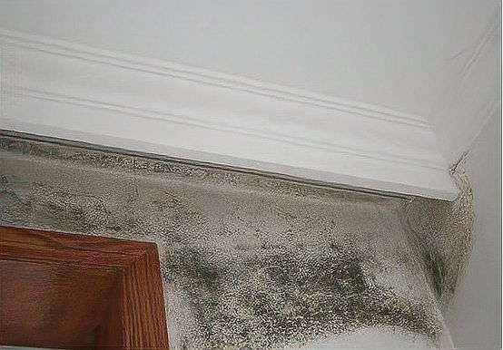 隔汽層施工有哪些常見錯(cuò)誤？ 行業(yè)新聞 第6張