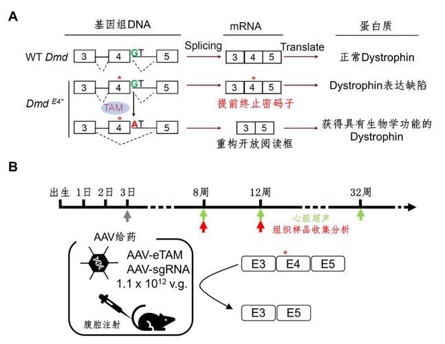 這些新技術(shù)中哪項(xiàng)最具創(chuàng)新性（2025-2026年全球權(quán)威機(jī)構(gòu)發(fā)布十大突破性技術(shù)） 行業(yè)新聞 第1張