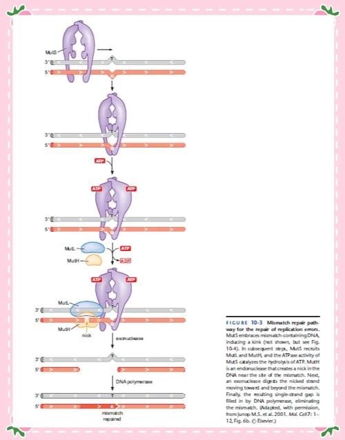 這些新技術(shù)中哪項(xiàng)最具創(chuàng)新性（2025-2026年全球權(quán)威機(jī)構(gòu)發(fā)布十大突破性技術(shù)） 行業(yè)新聞 第4張