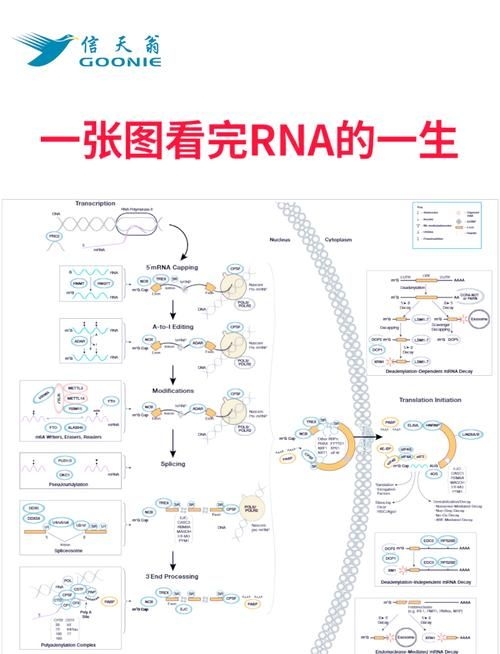 這些新技術(shù)中哪項(xiàng)最具創(chuàng)新性（2025-2026年全球權(quán)威機(jī)構(gòu)發(fā)布十大突破性技術(shù)） 行業(yè)新聞 第5張
